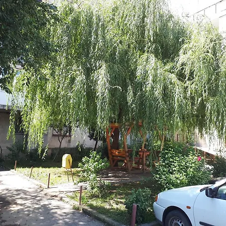 Nartz - Orhideea Apartament Călimăneşti